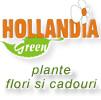 Hollandia Green - plante, flori si cadouri